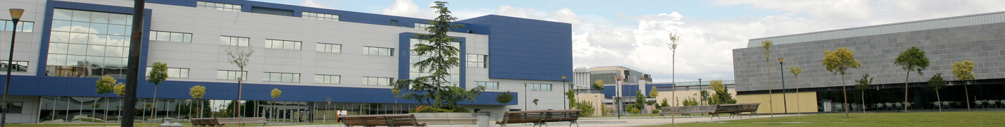 Campus Alcorcon