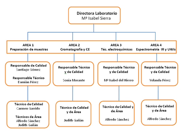 lets organigrama