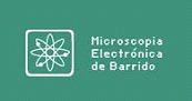 Microscopía electrónica de barrido