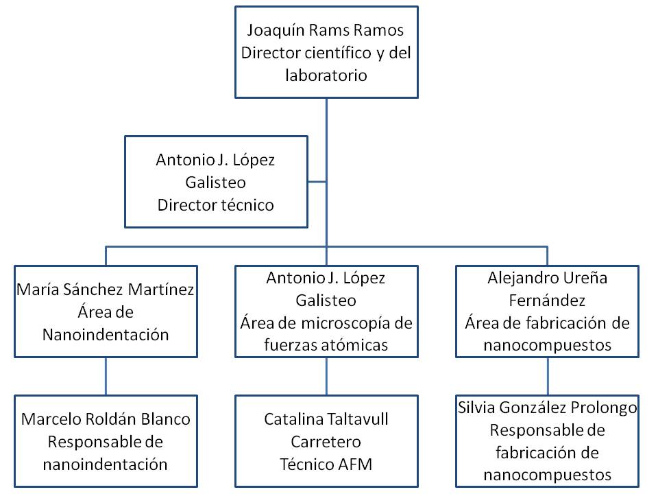 organigrama nanolabu