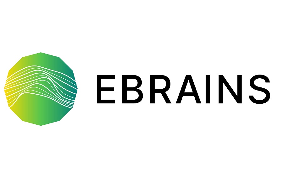 EBRAINS peq