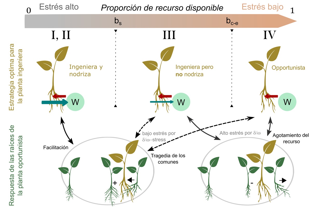 figura estudio plantas