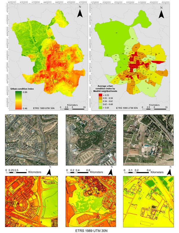 spatial representation