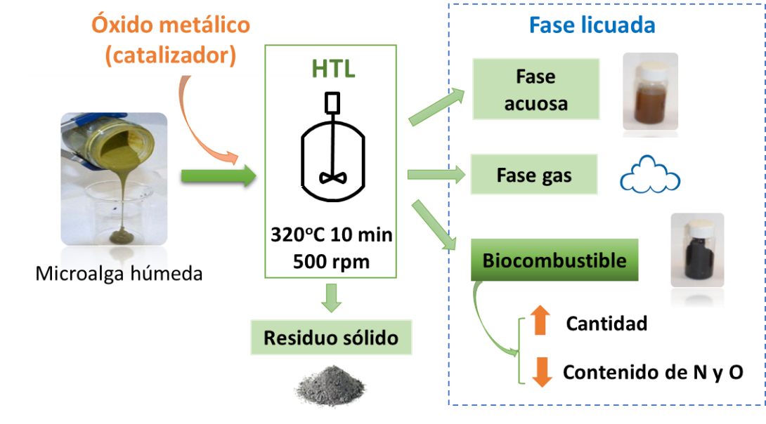 grafico