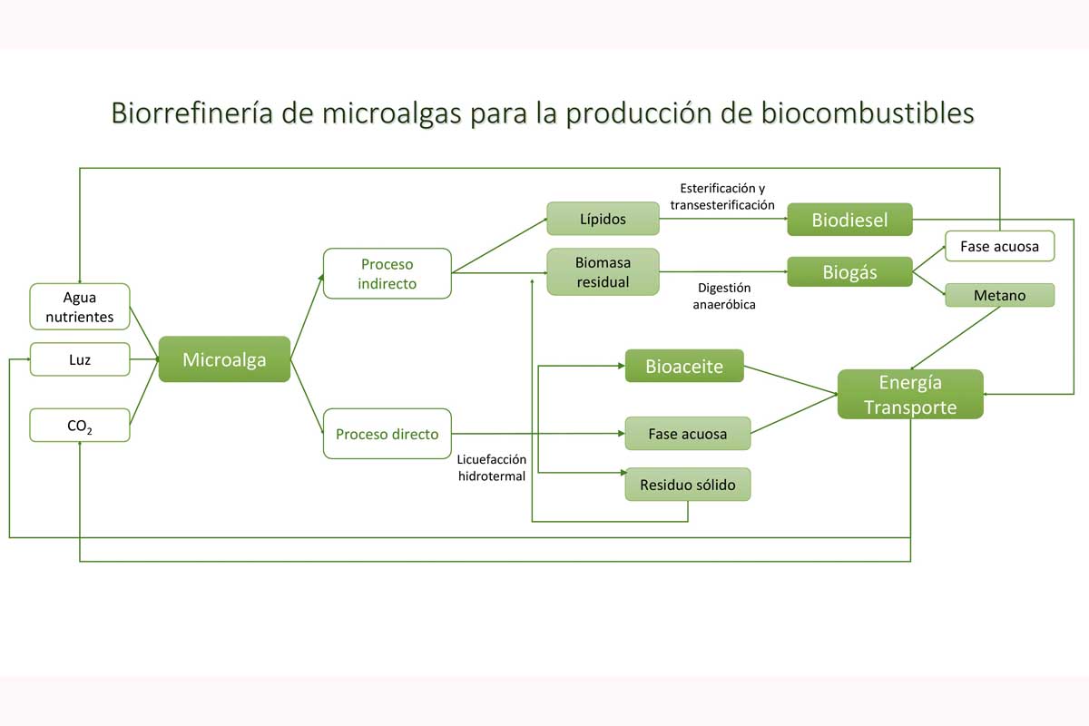 DiagramaBioCombOK