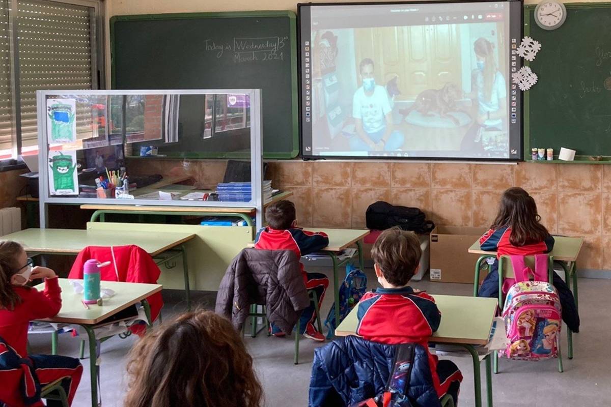 ‘Emociones con patas’, de la Cátedra Animales y Sociedad