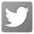 twitter-icon